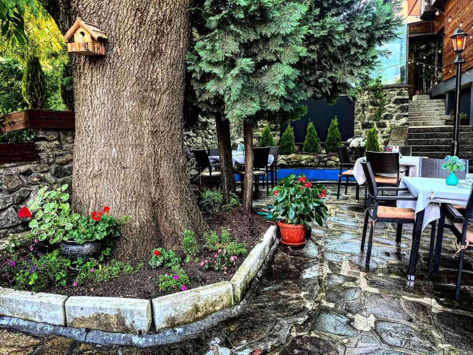 Andesite Boutique Residence Hotel Σόφια Εξωτερικό φωτογραφία